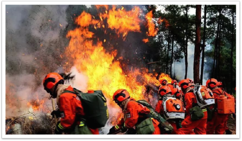 木里森林火灾救灾英雄.png